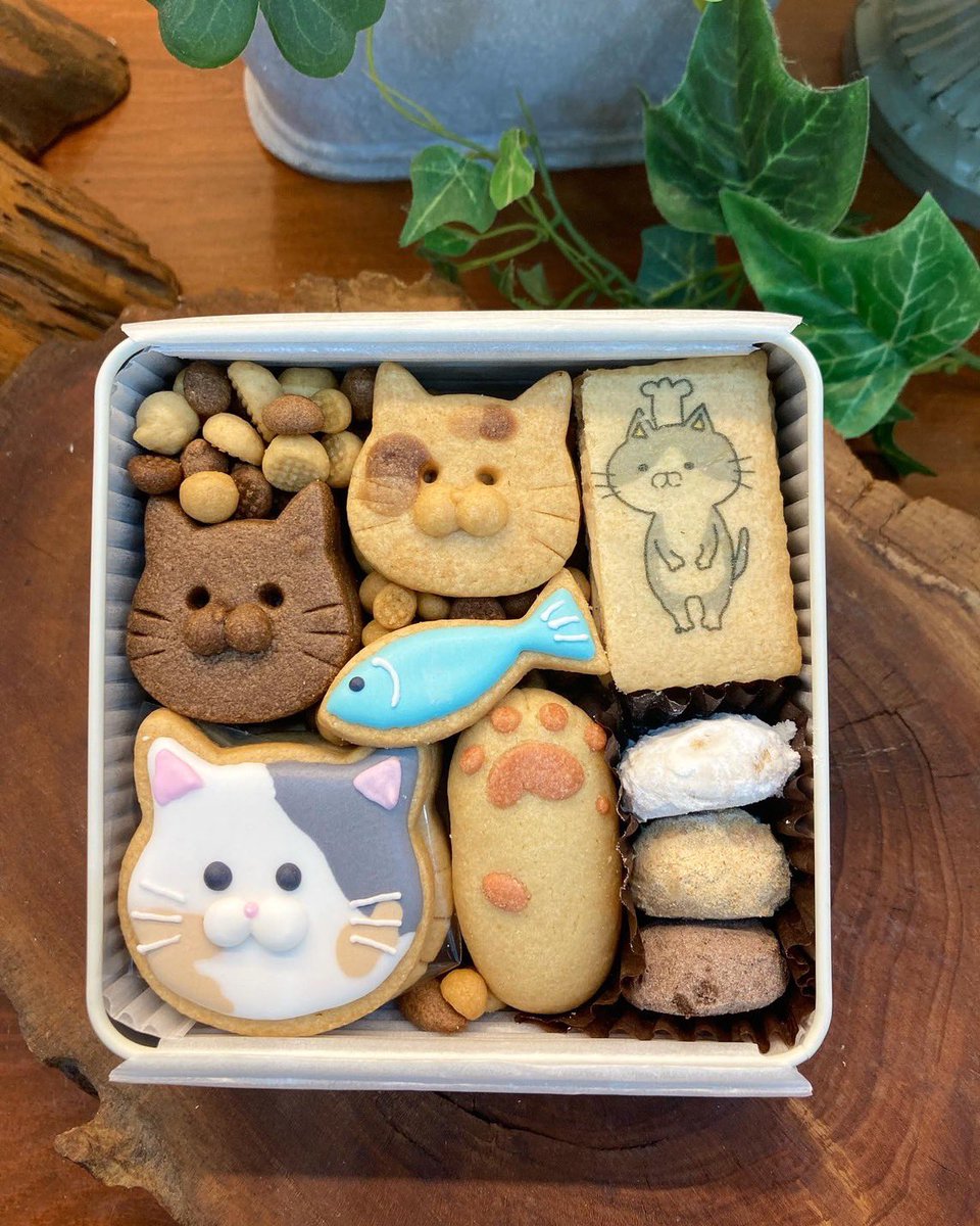 comneko33's tweet photo. ずっと行きたくてやっと行けたミネットさん🥺✨
かわいすぎひん？？？💘🐈🐾
クッキー缶はプレゼント用にとっとく💐🤍 https://t.co/6igPWEQGMg