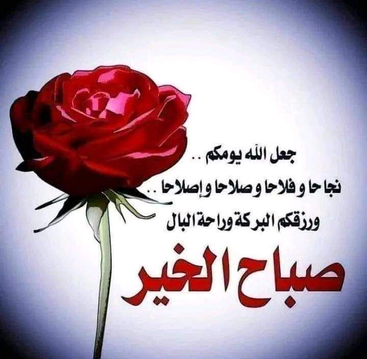 <a href="/w__es/">αℓ τнαнαвi🩵 ⁦</a> <a href="/F_N__313/">✍ الذيـــب</a> <a href="/hh__h21/">حيدر العراقي</a> <a href="/Se___maa/">🇮🇶</a> <a href="/nadaznhm621/">ندى.....</a> @aya___tm <a href="/___ZMO___/">🇮🇶 ڗﯣمۘــﯜڔد🇮🇶</a> <a href="/B_A_TT/">حمامة السلام🕊</a> <a href="/bwmfy19969017/">ابو مصطفى</a> <a href="/wu___m/">مـلّــآمــح مـاي...</a> <a href="/sea998877/">ابو احمد Abo Ahmed 75</a> <a href="/hseanahmad61747/">محمد باقر</a> <a href="/tamatayaa/">طماطايه 🍅</a> <a href="/Th2_85/">⓸ ضمياء الحچامي𓅔</a> <a href="/oso_i2/">𝑤𝑖𝑠𝑎𝑚 🇮🇶</a>