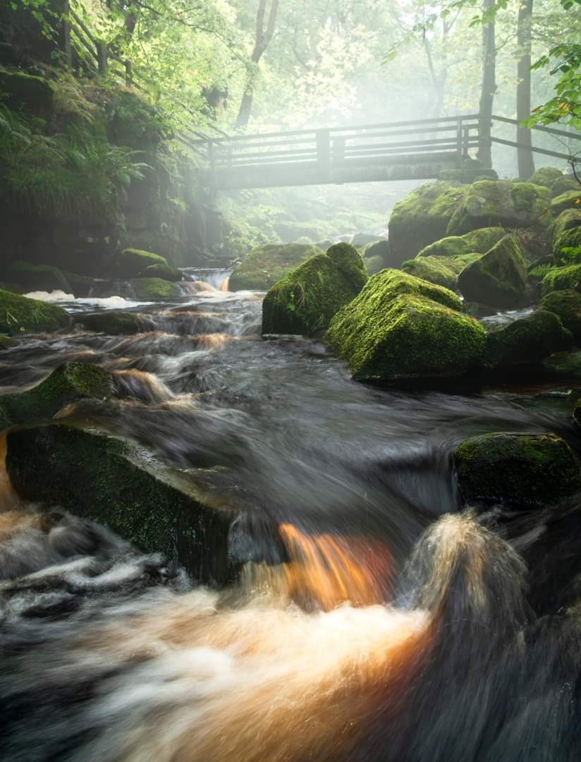 Ginger_Captures's tweet photo. Yesterday at Padley Gorge as the mist was just hanging ....
#peakdistrict #fsprintmonday #mystify https://t.co/XaCSbukMsr