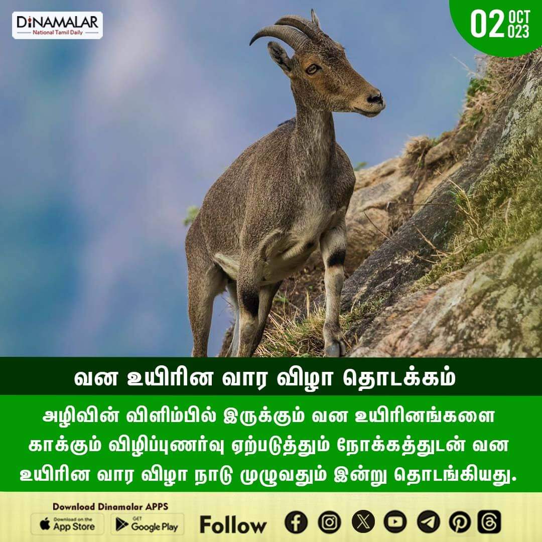 dinamalarweb's tweet image. வன உயிரின வார விழா தொடக்கம்
#wildlife|#createawareness #Wildlifeweek
  
 dinamalar.com