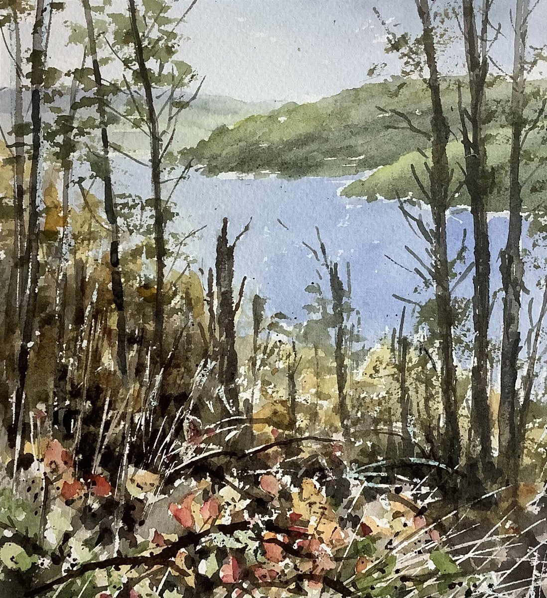 Across the lake autumn #watercolorpainting #watercolour #watercolourlandscapes
#loosewatercolour