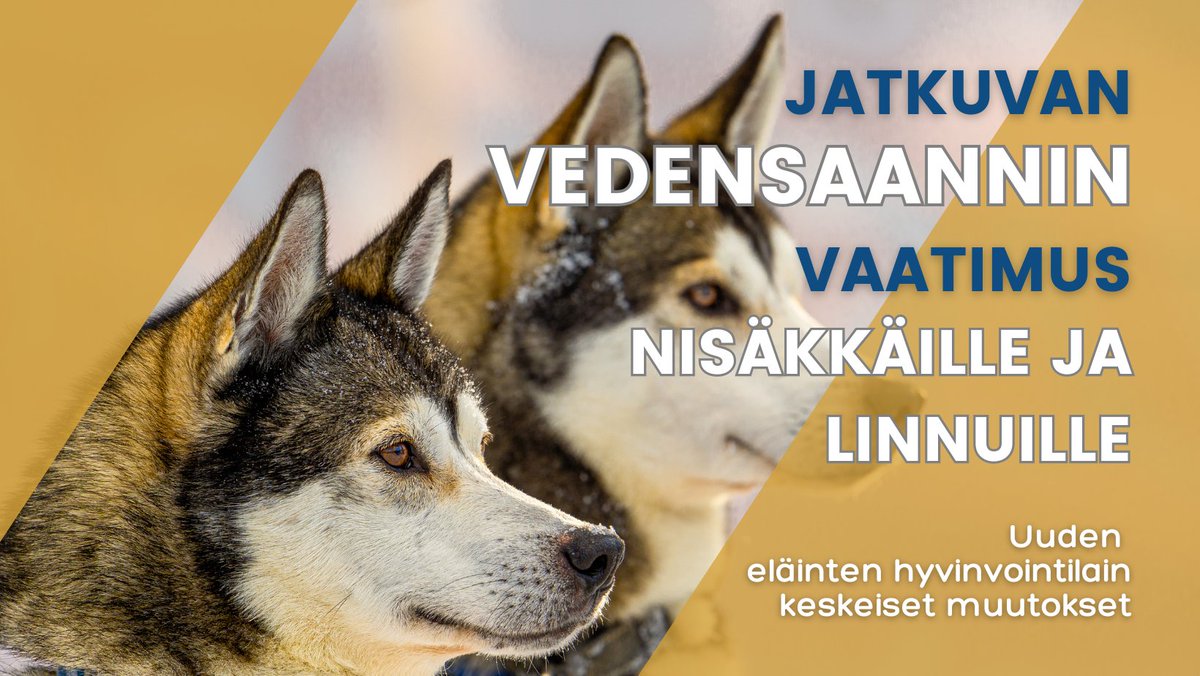 Uusi #eläintenhyvinvointilaki astuu voimaan 1.1.2024. Lain myötä kaikille nisäkkäille ja linnuille on taattava jatkuva mahdollisuus veden juomiseen pysyvässä pitopaikassaan, myös talvisin. Lue lisää @ruokavirasto ruokavirasto.fi/elaimet/elaint…