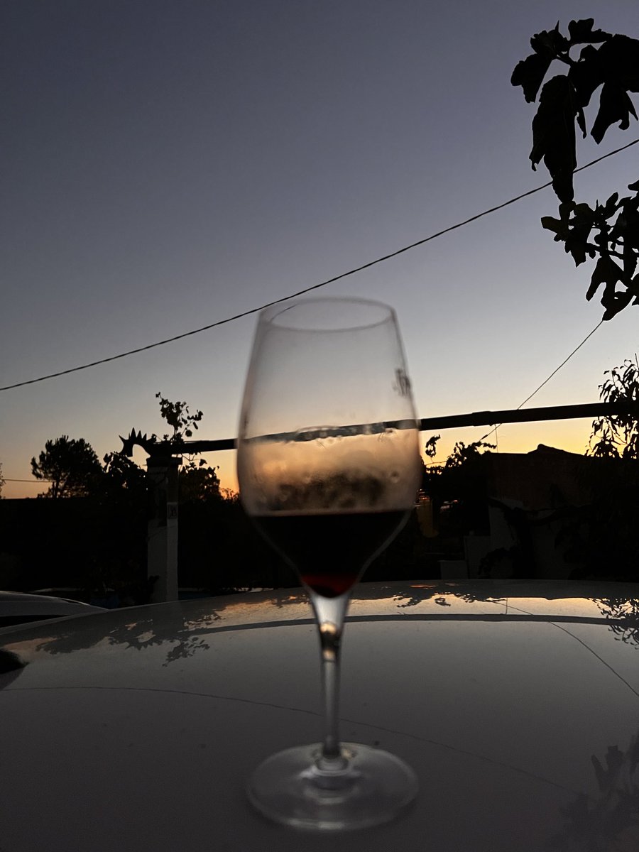 Això no és només una copa de vi, és la bellesa de compartir. #Priorat verema de nocturna. #Winelover  ☺️🍷🍇