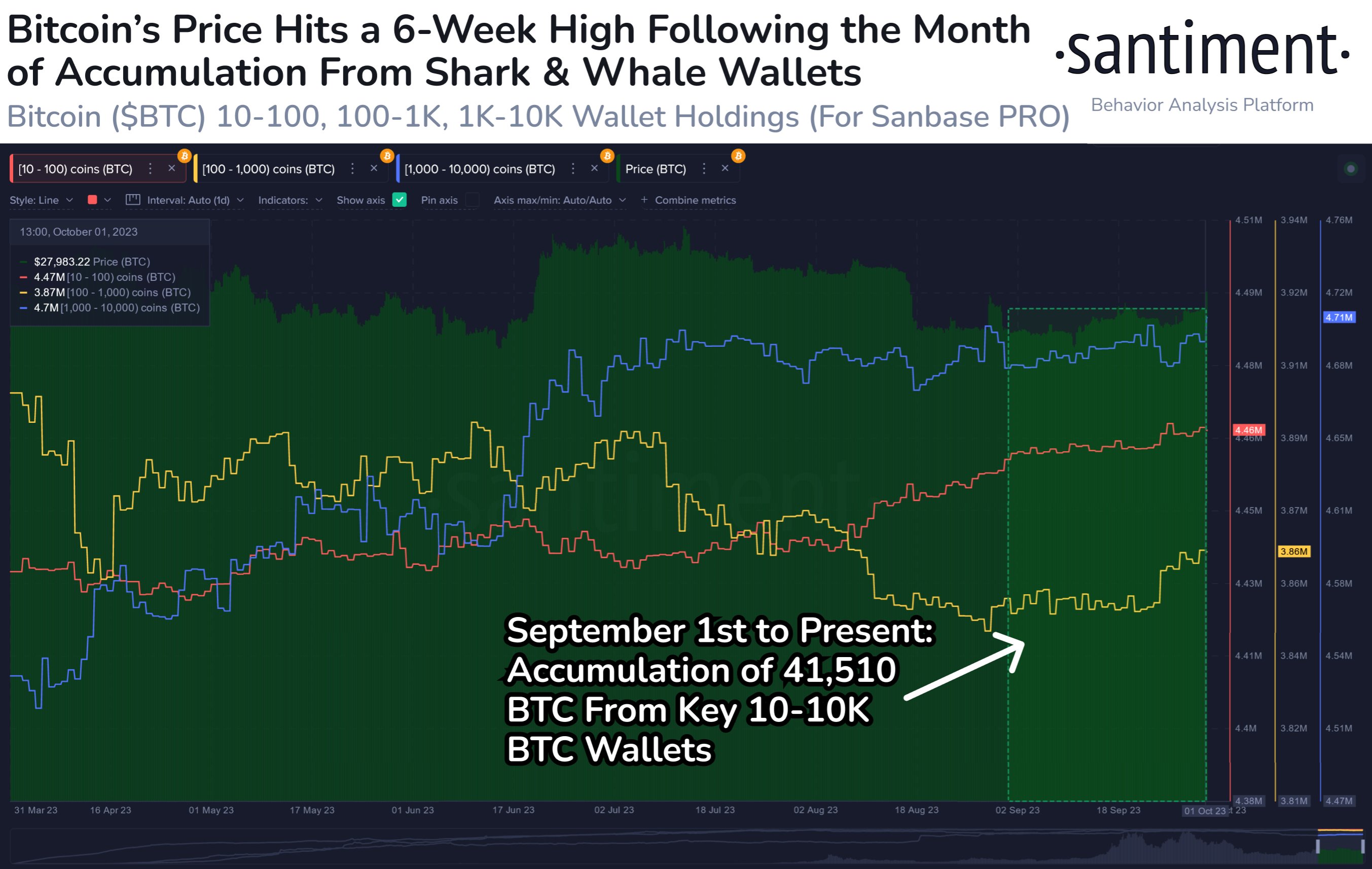  bitcoin data on-chain btc accumulating wallets whales 