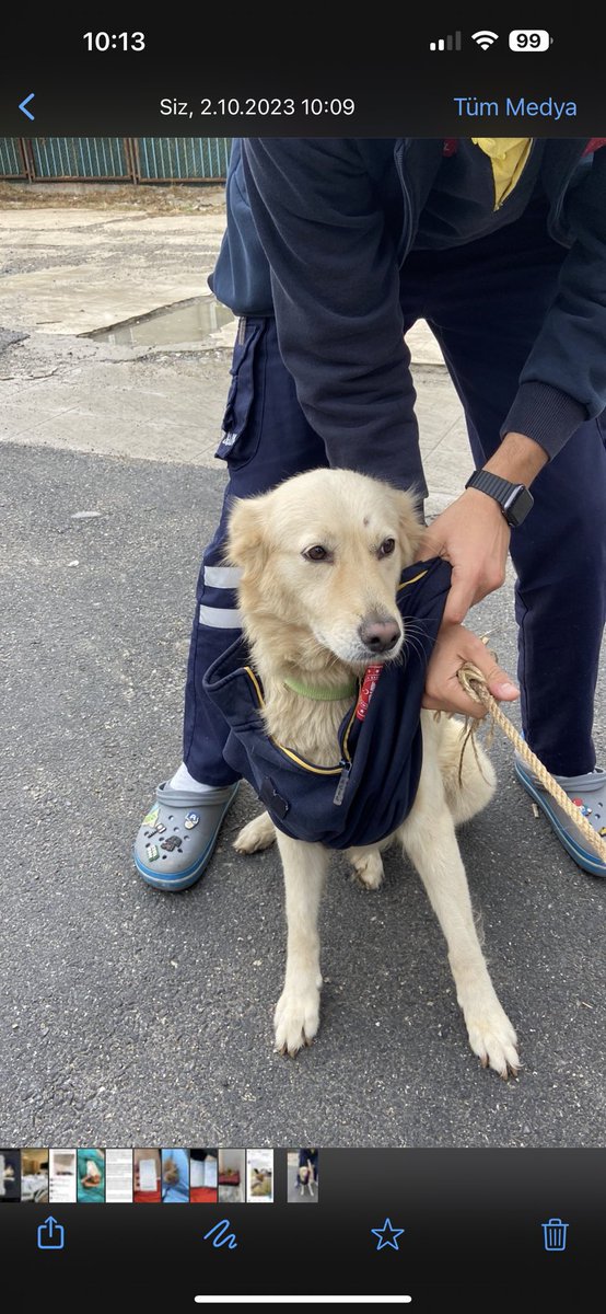 BalkavDilek's tweet photo. Acil yardım sokağa terk edilmiş 112 ye sığınmış hastane yönetimi barınağa göndermiş istanbul Sultangazi Barınağı ağlıyor orda can lütfen birisi alsın ordan @Badiko_ @Dilaraerkmen_ @zeynepsagdas https://t.co/flunbzWnjJ