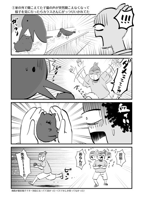家の外で聞こえてた子猫の声が突然聞こえなくなって様子を見に行ったらカラスさんにがっつりいかれてた #スクスクパヤパヤ