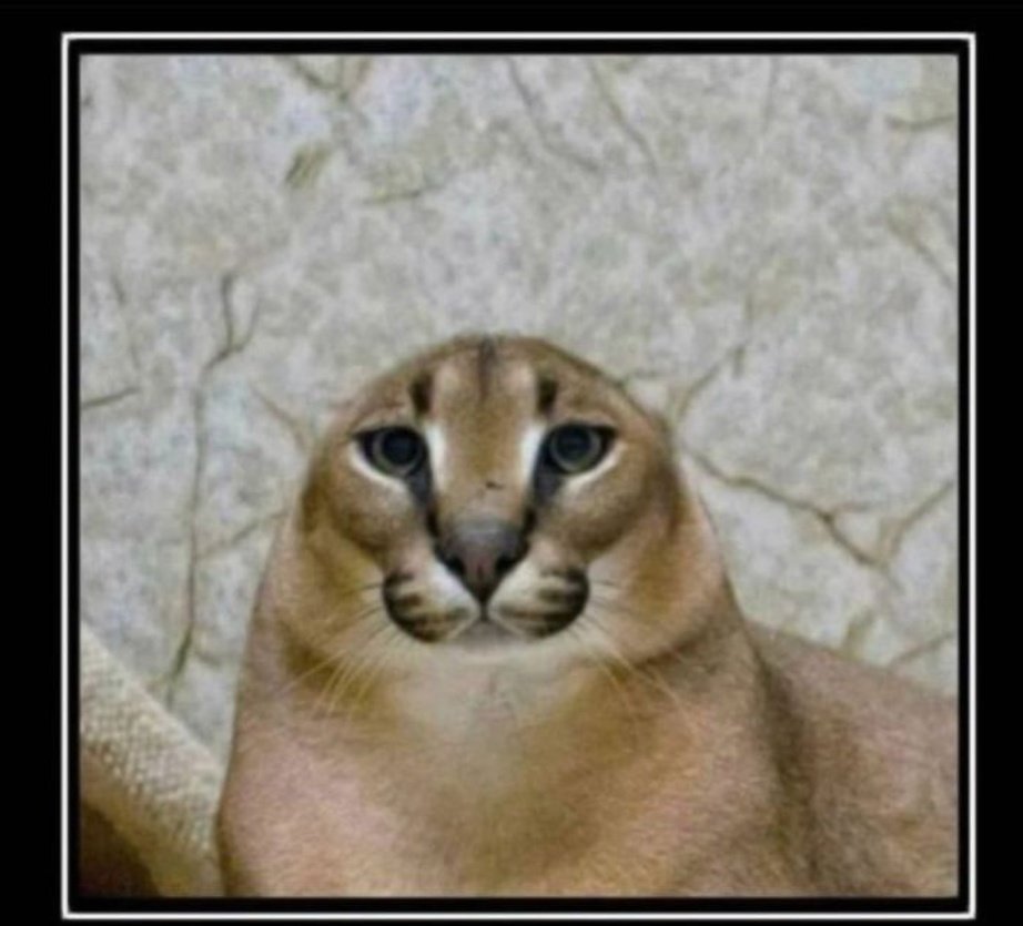 got one stw founder code Xbox 
region:global 
highest offer gets it 
#darklegit27 
rts and vouches are appreciated