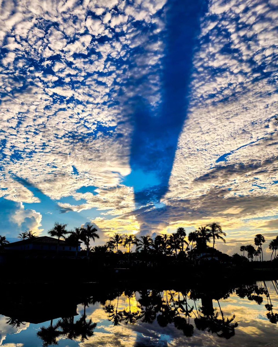 Beautiful sunrise in Florida by my friend Drit Suljoti Thx 🙏 Drit? 

#sunrise 
#sunriselover 
#sunrisephotography 
#landscapephotography 
#lakereflection
#silhouette
#silhouettes
#parkland 
#floridalife