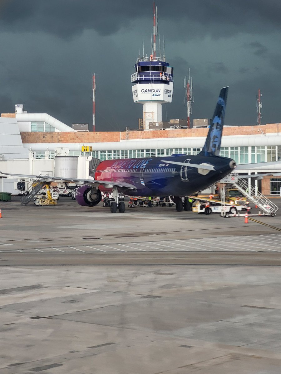 tcrookairways's tweet photo. A few of my favorite More to Love photos. She will be missed. https://t.co/qwFTyoNX7p