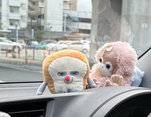 MocoMoco2708's tweet photo. パンどろぼう可愛すぎる
運転して目が合うのしんどいw https://t.co/Pa7uq3tLpe