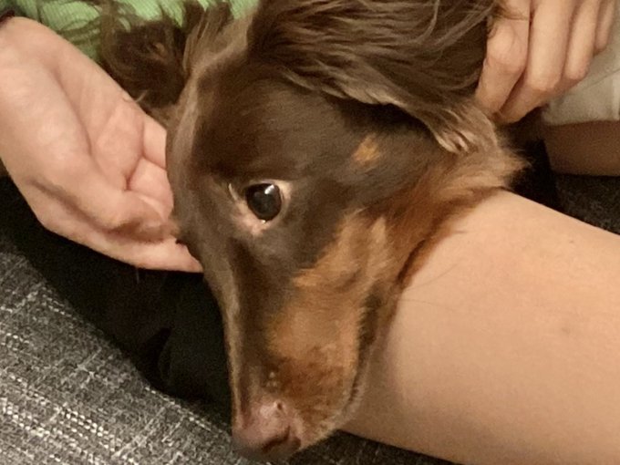 Twitterのコスプレ画像24