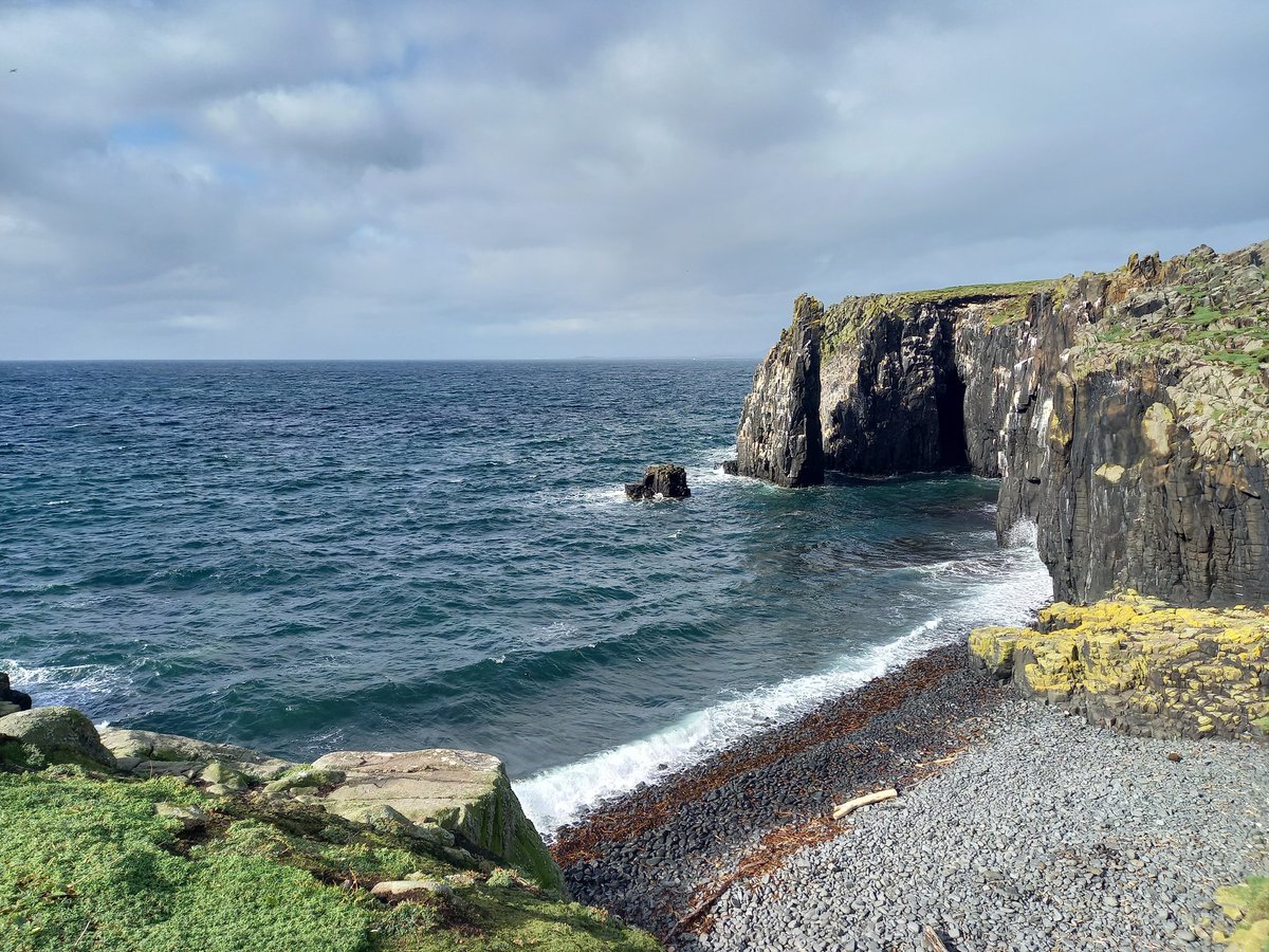 Back to work today after a fantastic week on the Isle of May, staying in the Bird Observatory. Quiet week bird wise but stayed with a great bunch of people that more than made up for it. Highlights were two Barred Warblers, Minke Whales, Seal pups and Storm Agnes @IofMayBirdObs