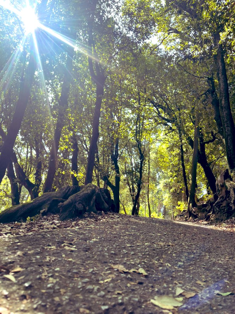 ChefScaglione's tweet photo. Nel fine settimana sono stato in giro e questa volta, per piacere, non per lavoro! 
Ci vediamo sabato e domenica con le dirette di formazione online
#fiesole #relax #marcoscaglione #senzaglutine #chef https://t.co/rffDpqnwaB