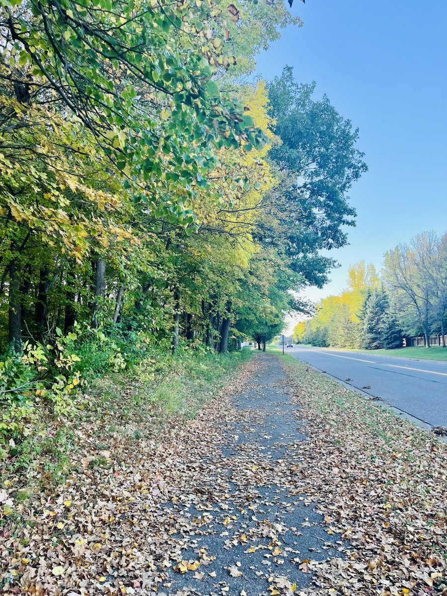 NinaSwienton's tweet photo. Meanwhile back in Minnesota… 🍂 🍁 https://t.co/bZIYnTezel