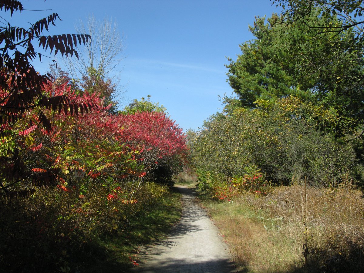 newman_goodmoon's tweet photo. #HerberDowns Consevation Area #TrailsThroughDaybreak #CLOCA #Autumn https://t.co/2PgxKfho88
