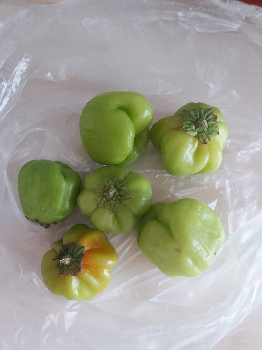 Dolmabiber diye gonderdiginiz biberler <a href="/Migros_Turkiye/">Migros Türkiye</a> <a href="/MSanalMarket/">Migros Sanal Market</a> hergun daha da kotuye gidiyorsunuz!!! Bir daha ki sefere nasil doldurulacaginin talimatini da gonderin bari!!!