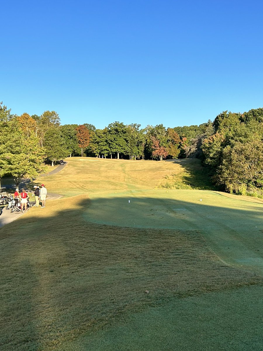 Mike Driver tweet media