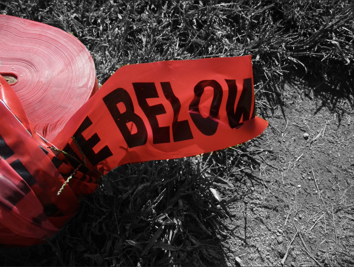 Katharine Brummett tweet media