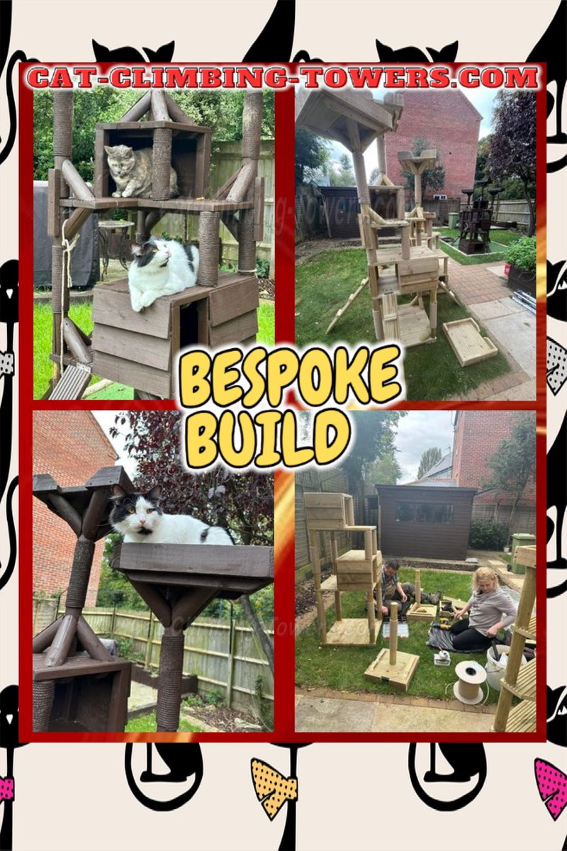tclynx's tweet photo. When the customer has a CoCo's palace and 4 tier, that there cats love so much they fight over top spot, only one thing to do, order another CoCo's palace and 4 tier .
They are the same size , one is just closer then to the other .
#catframes #CatsOfTwitter #cats #advert https://t.co/st90AIbpog