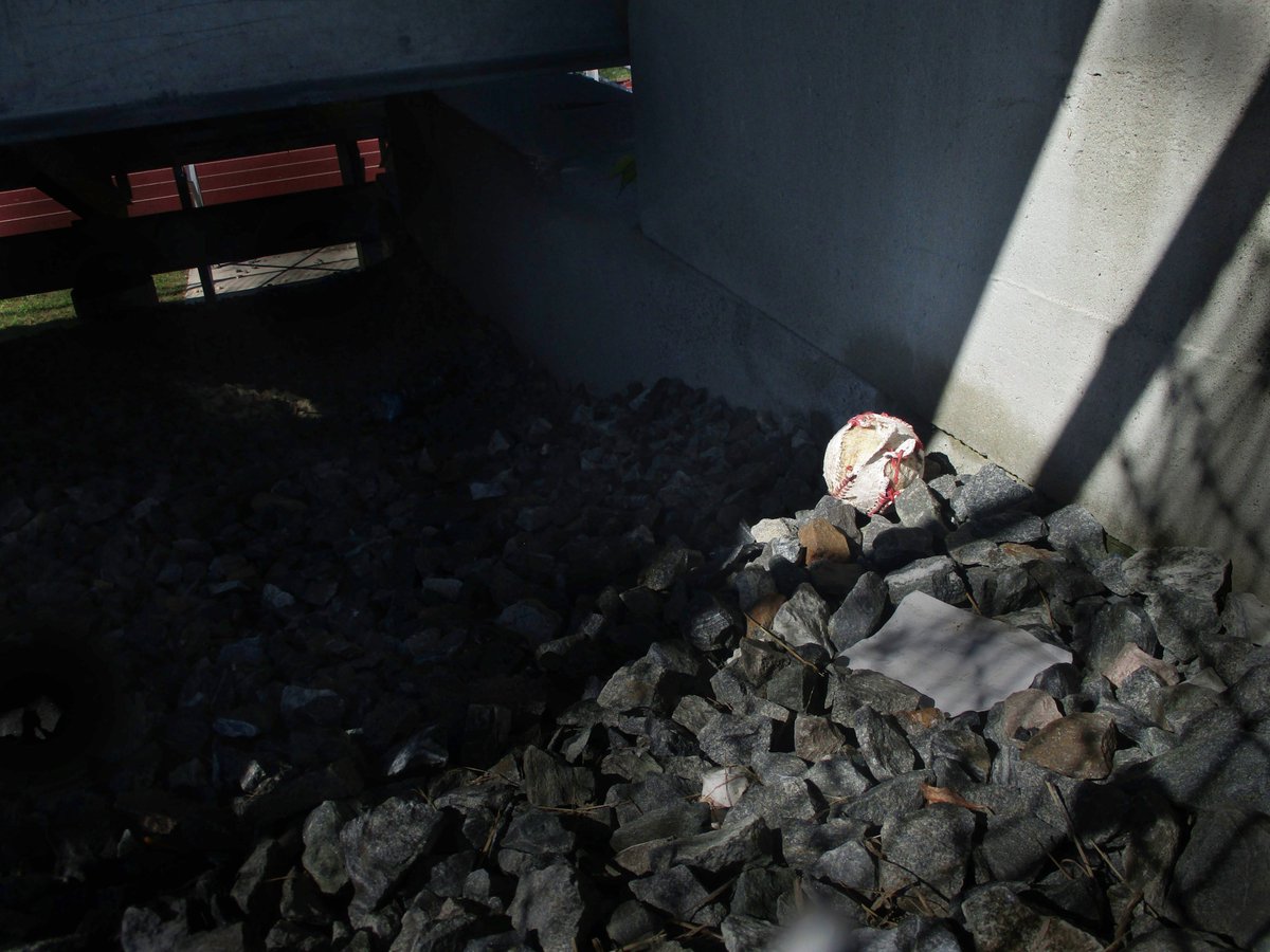 Katharine Brummett tweet media