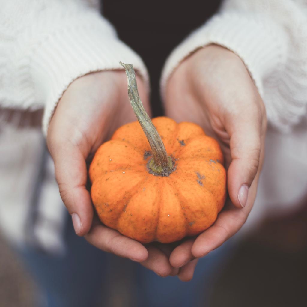 Is your business Halloween ready? If you’re planning any Halloween #events,#promotions or special offers it’s time to get your #artwork sorted.

Don’t miss out on the chance of promotion opportunities; Facebook Ads,  Email #Marketing or a leafleting opportunity, get in touch! 🎃