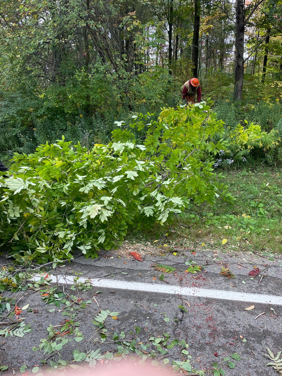 NYSDOTBuffalo's tweet photo. A crew from our Chautauqua County maintenance residency trimming trees along Route 76 in the town of Sherman

Use caution and obey all traffic control devices when driving through a work zone https://t.co/5PItI5w64d