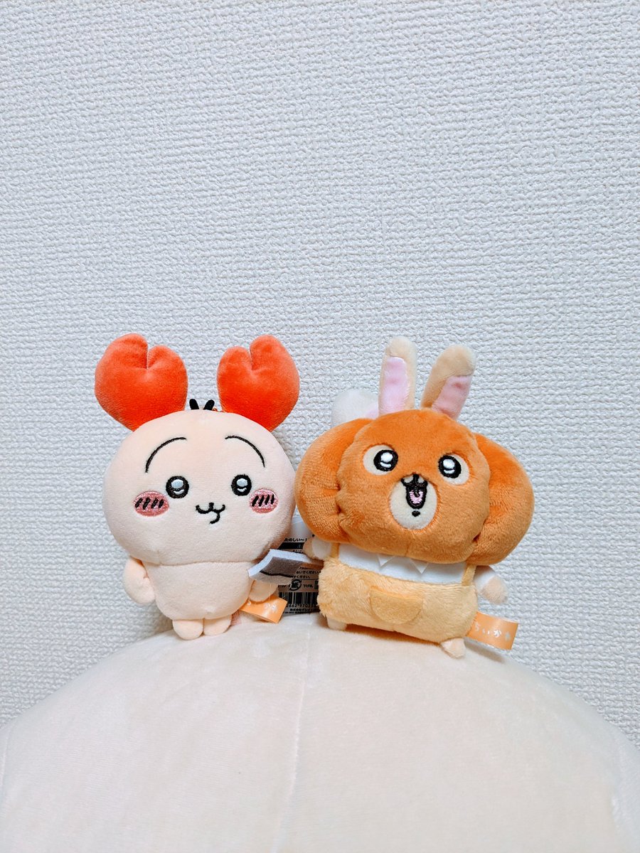 hjk_puruya's tweet photo. 先日🦐🎃が届きましたかわいすぎる。 https://t.co/cvzK65VEoG