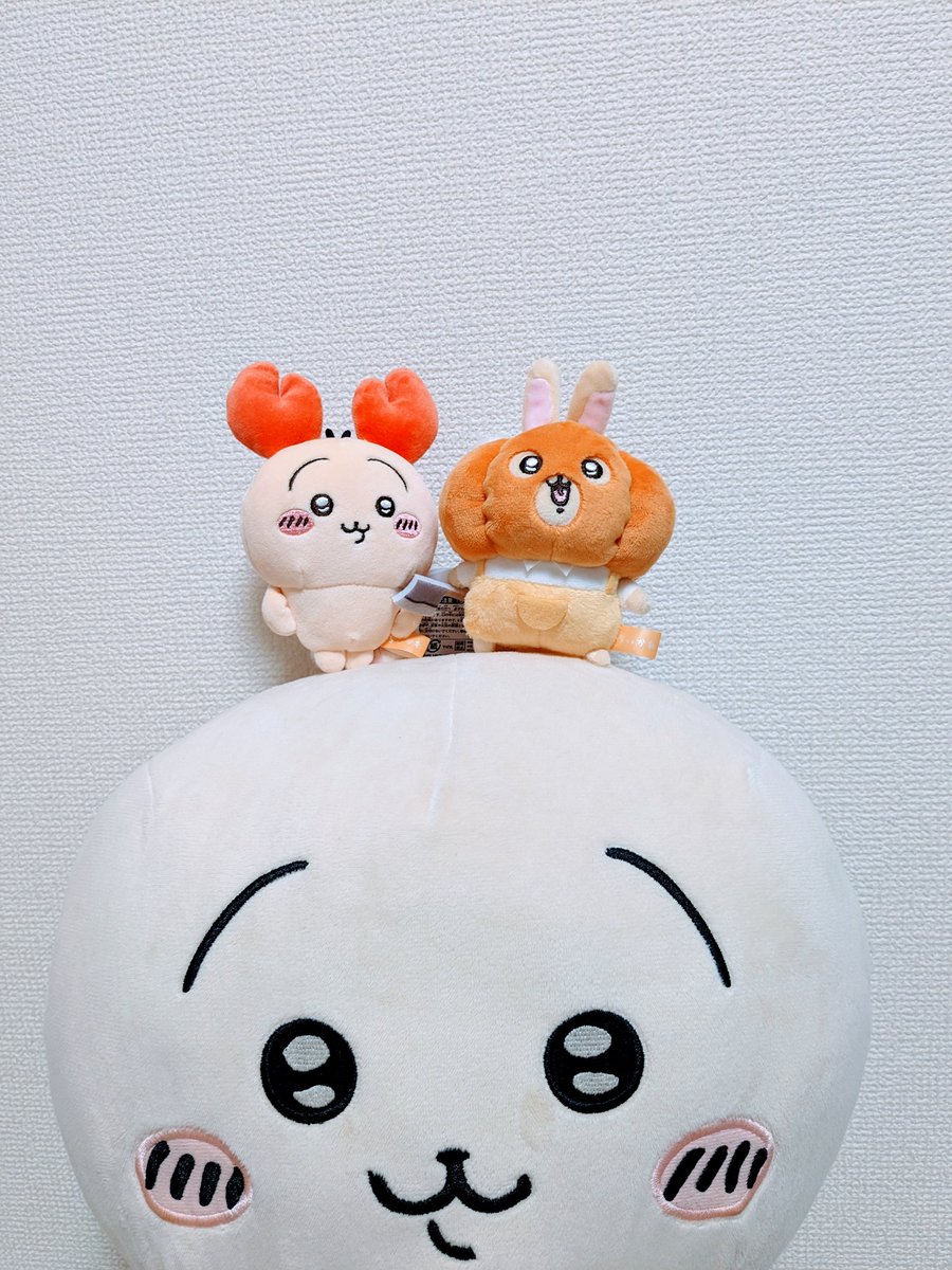 hjk_puruya's tweet photo. 先日🦐🎃が届きましたかわいすぎる。 https://t.co/cvzK65VEoG