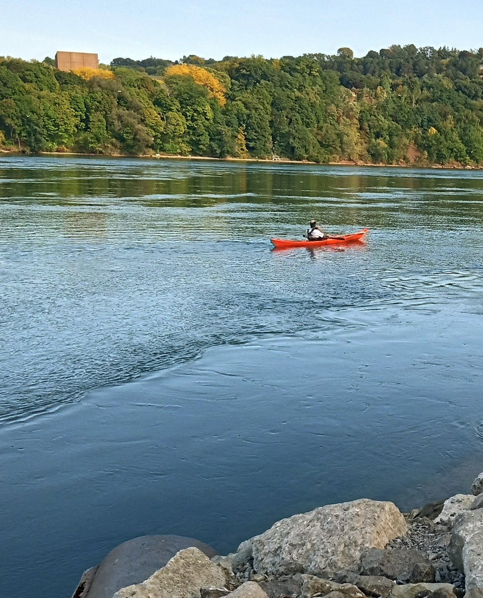 Canoeing on a peaceful river is extremely relaxing
#phonephotograhy #niagarariver #NatureBeauty