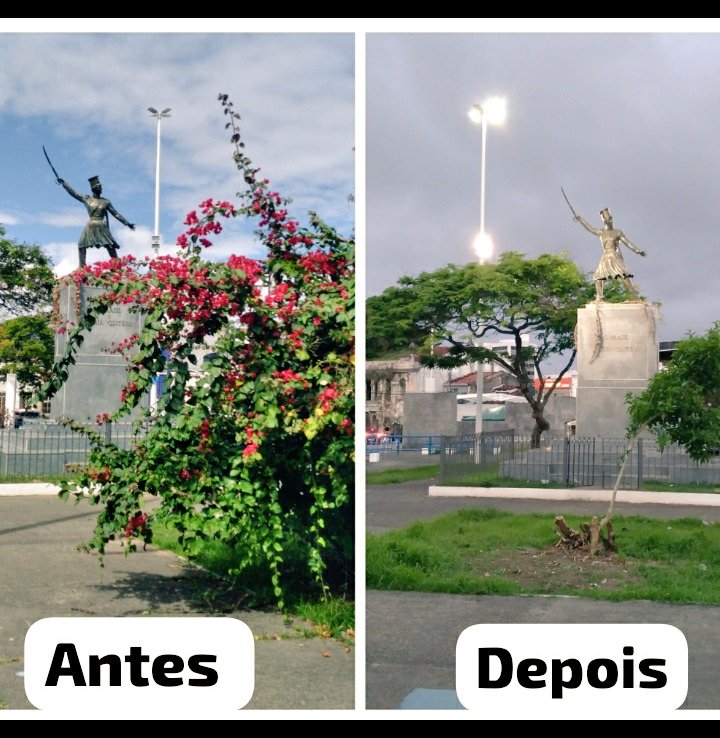 BelaValverde25's tweet photo. Caramba! Eu não sei pq o pessoal  da prefeitura de Salvador  tem tanto ódio de flores 🤔 reformam uma praça  não coloca uma flor e se nascer  alguma por acaso eles  cortam😡
@BrunoReis
https://t.co/IZY91r9VbZ
https://t.co/KvB0AXvYi2
SPJ -Superintendência de Parqs e Jardins https://t.co/oXlpnfYfM8