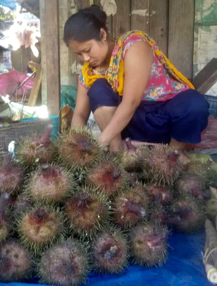 BinaNepram's tweet image. Trees in fall/autumn season in #Manipur don’t change colors. #MotherEarth remain resilient,never misses her seasons,remains stronger than any #engineered #wars fought by humans for #greed.These file photos of autumn I took some yrs ago/visiting Bishenpur to meet women #survivors