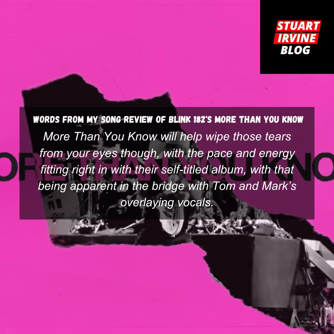 Stuart Irvine tweet media