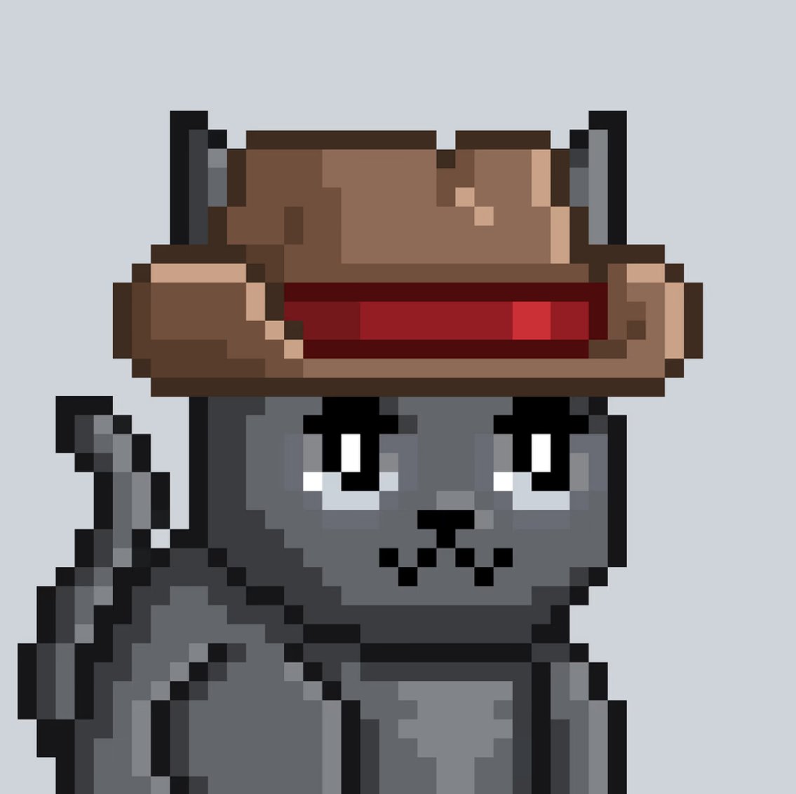 ice_zene's tweet photo. I am my Mooncatz, and my Mooncatz is me

@MooncatzNFT https://t.co/G7kcMwENpc
