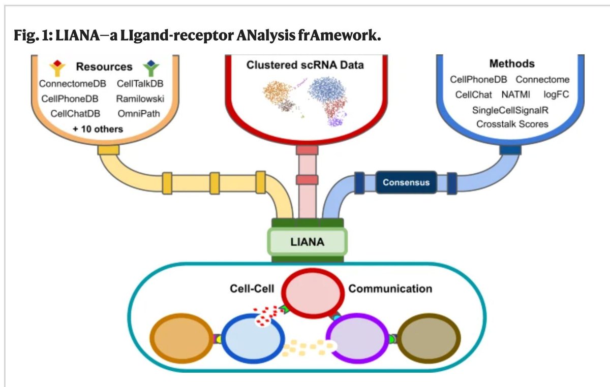 Comparison of methods and resources for cell-cell communication inference from single-cell RNA-Seq data buff.ly/3PYSPZ9
