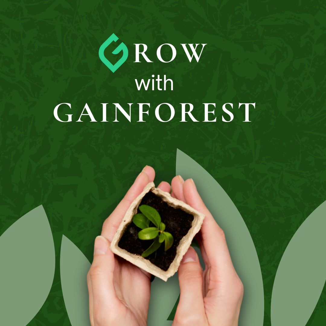 GainForestNow's tweet photo. In the heart of every forest lies a tale of growth and resilience, just like GainForest’s journey. 🌱
This month, we launch our #GrowWithGainForest campaign to celebrate the incredible collaborations that have shaped our journey. Our mission is to help our #PartnerProjects grow and thrive the same way they have been doing for us. And together, we can give back to our planet in abundance.
We’re excited to share their stories and help them flourish! Follow our page and #GrowWithGainForest.