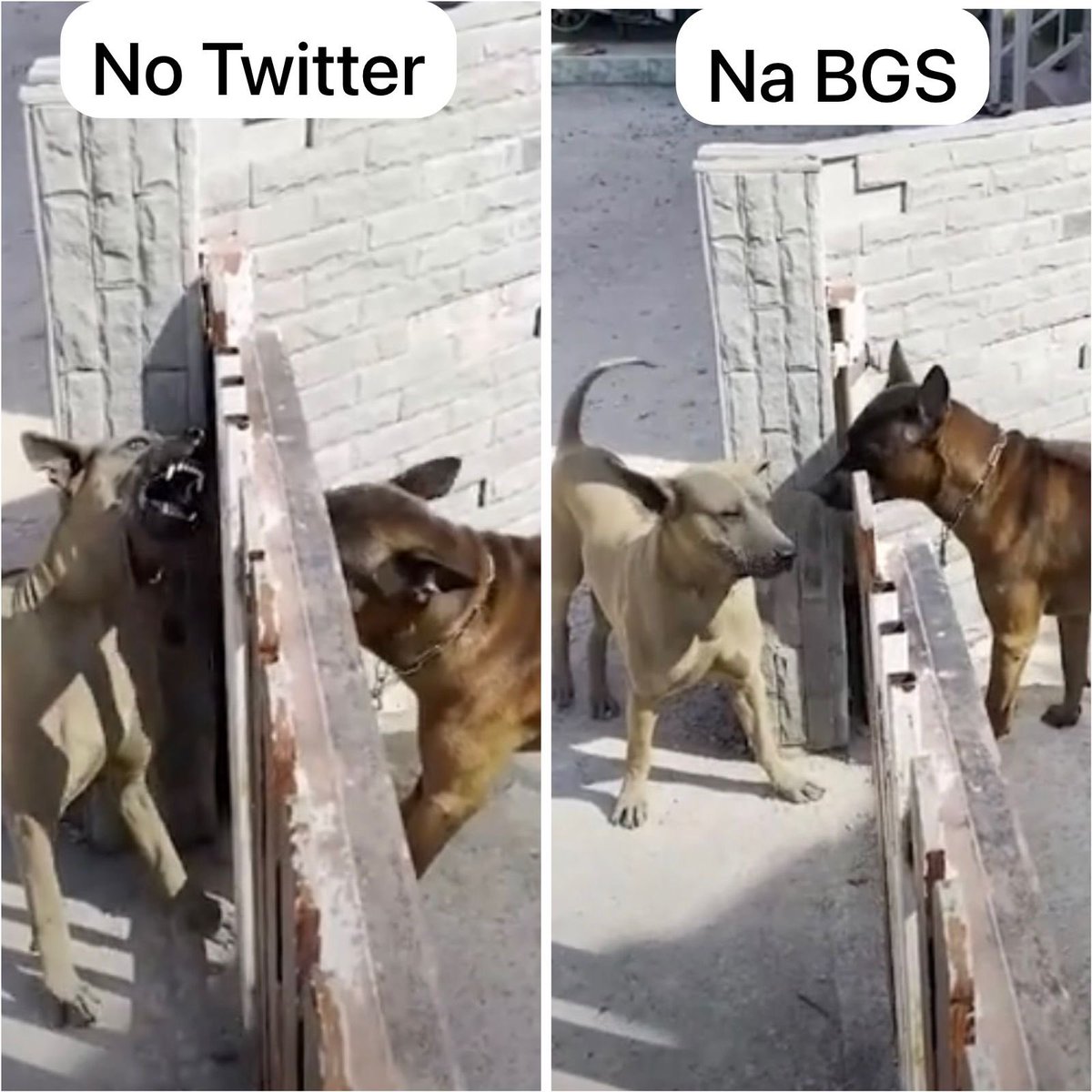 flesh_knight's tweet photo. Provavelmente nunca irei na Brasil Game Show, mas se eu fosse, seria só pra observar esse fenômeno maravilhoso…. https://t.co/bX4U6woPoE