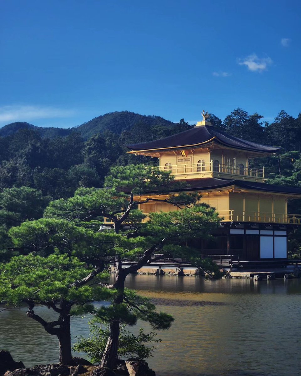 Dr Sam Ross tweet media