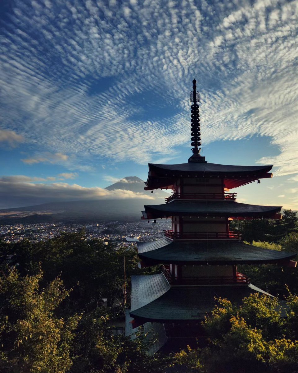 Dr Sam Ross tweet media