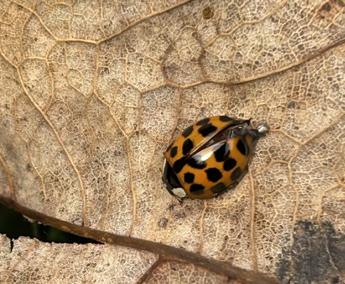 lostboyy35 tweet media