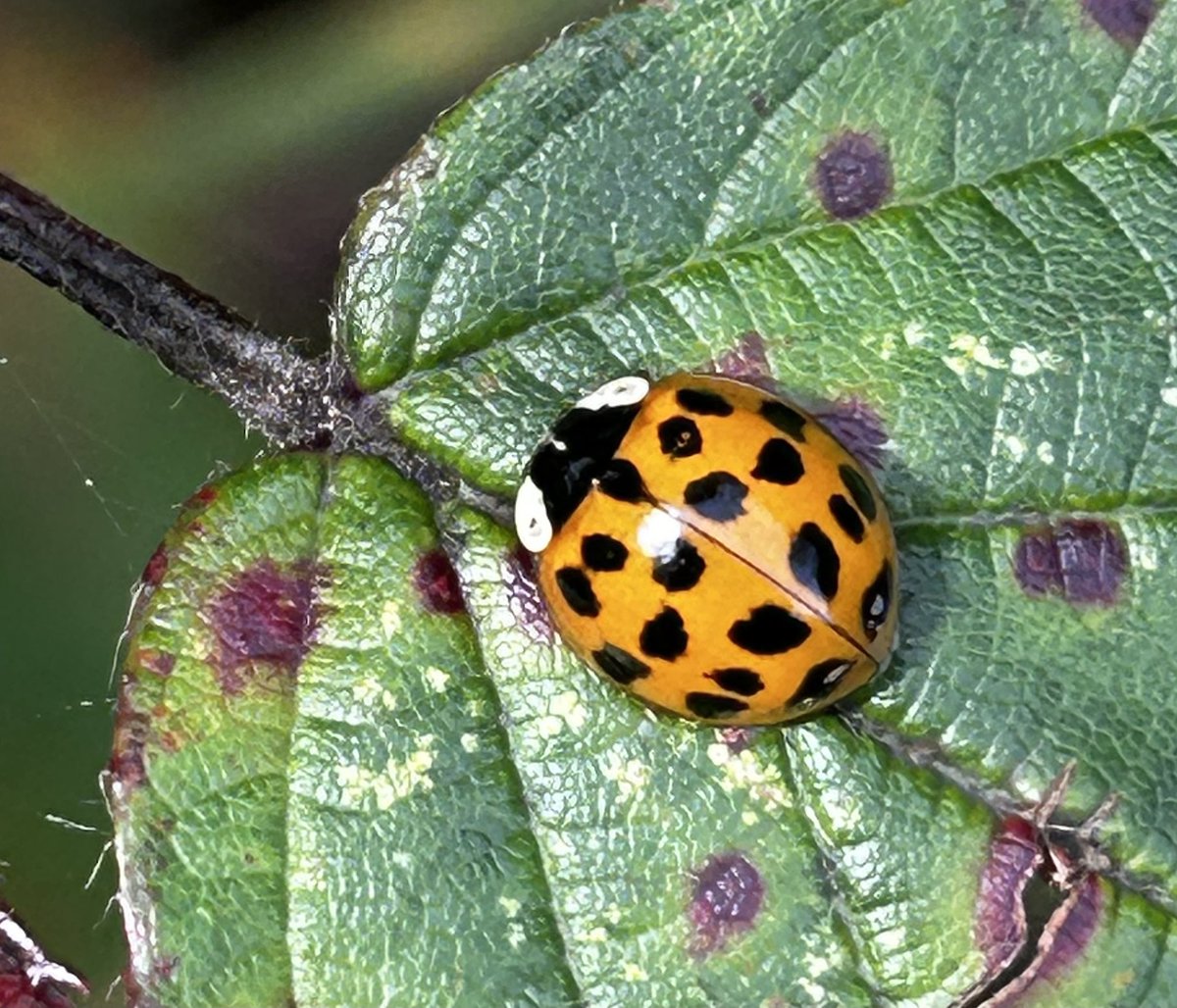 lostboyy35 tweet media