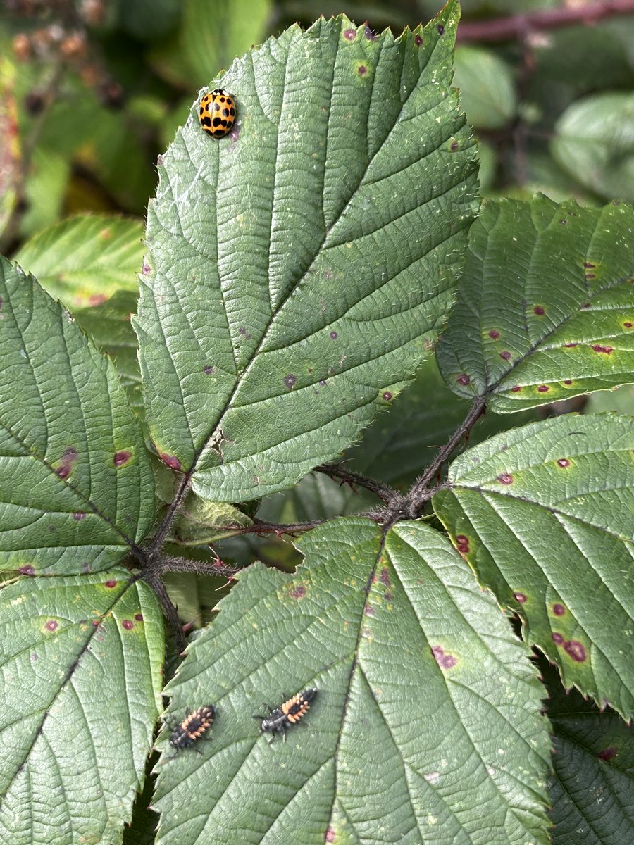 lostboyy35 tweet media