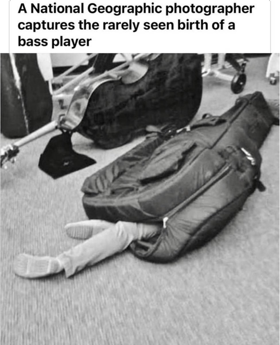 #funnypeople #funnymusic #muscial #musicalinstrument #musicalinstruments #bass #carrying #suitcase #suitcases #sleepingbag #sleepingbags #camping #musician #happycamper #happycampers #orchestra #orchestramemes