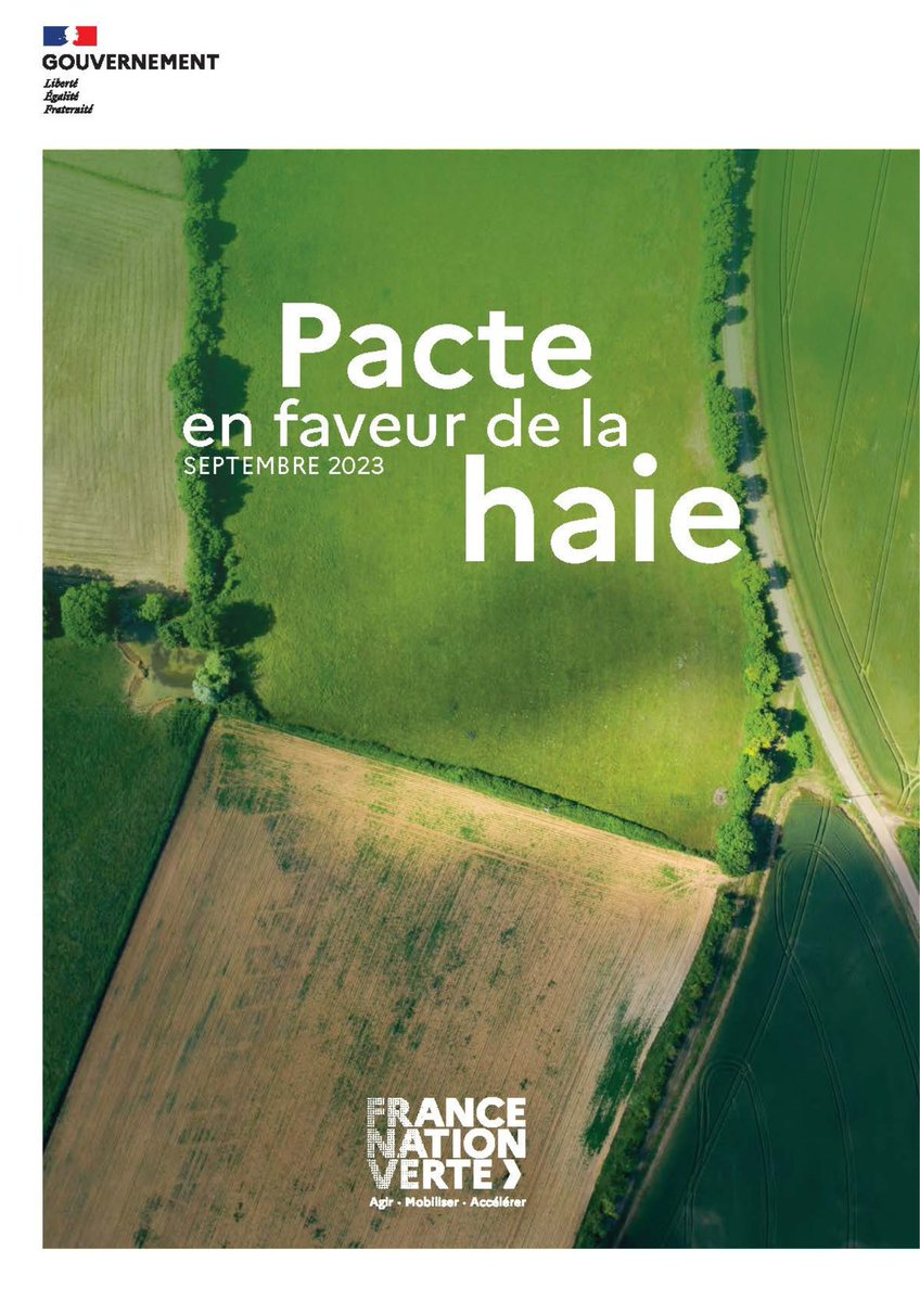 Agroforesterie's tweet photo. 📢 C’est officiel !

16 pages, 6 axes stratégiques, 25 actions : il est tout chaud, et il vient de sortir, après plusieurs mois de travail et de concertation nationale.

🌱 Nous parlons bien sûr du "#Pacte en faveur de la haie",

👉 https://t.co/nFFVFn8a5H https://t.co/ghvAndinOz