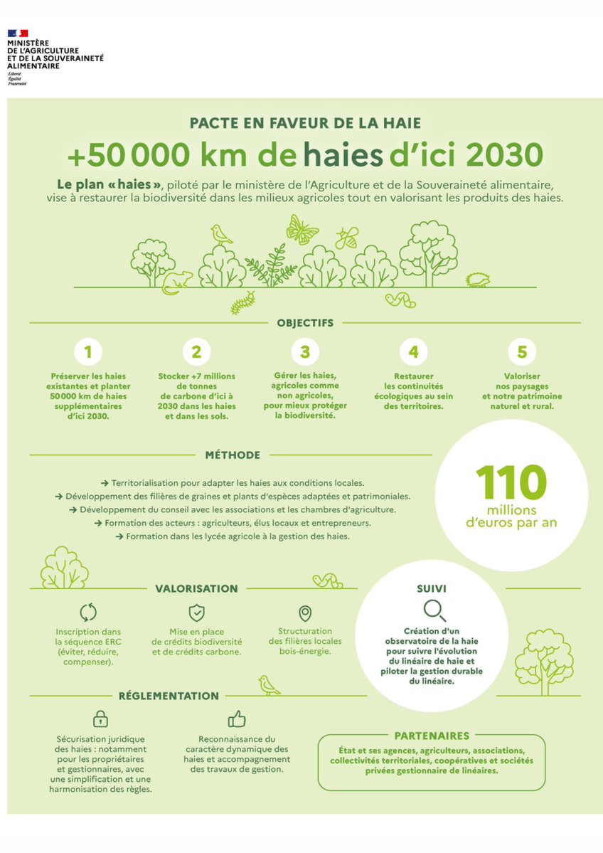 Agroforesterie's tweet photo. 📢 C’est officiel !

16 pages, 6 axes stratégiques, 25 actions : il est tout chaud, et il vient de sortir, après plusieurs mois de travail et de concertation nationale.

🌱 Nous parlons bien sûr du "#Pacte en faveur de la haie",

👉 https://t.co/nFFVFn8a5H https://t.co/ghvAndinOz