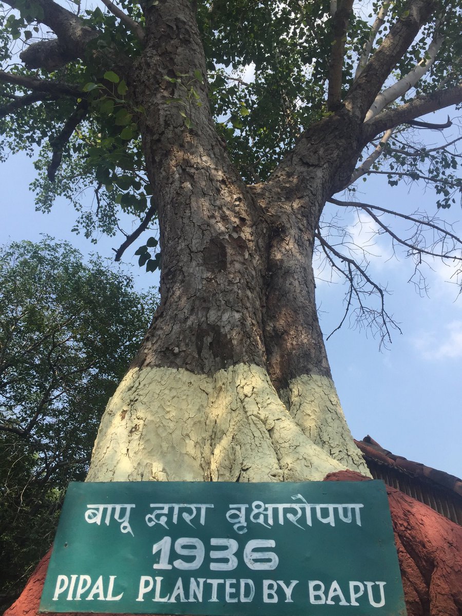 arvindj3's tweet photo. मोठी त्यांची सावली. महात्मा🙏 https://t.co/saVoAJKVzK