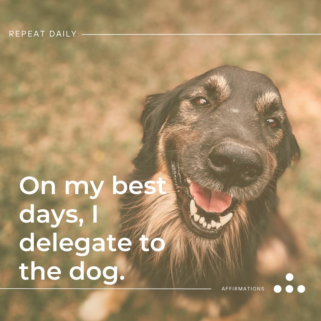 Emily Morgan tweet media