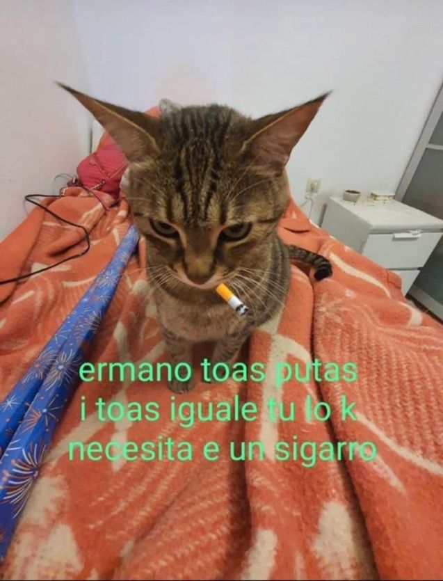 Memakker's tweet photo. Soy este https://t.co/LmRVJAnbZ5