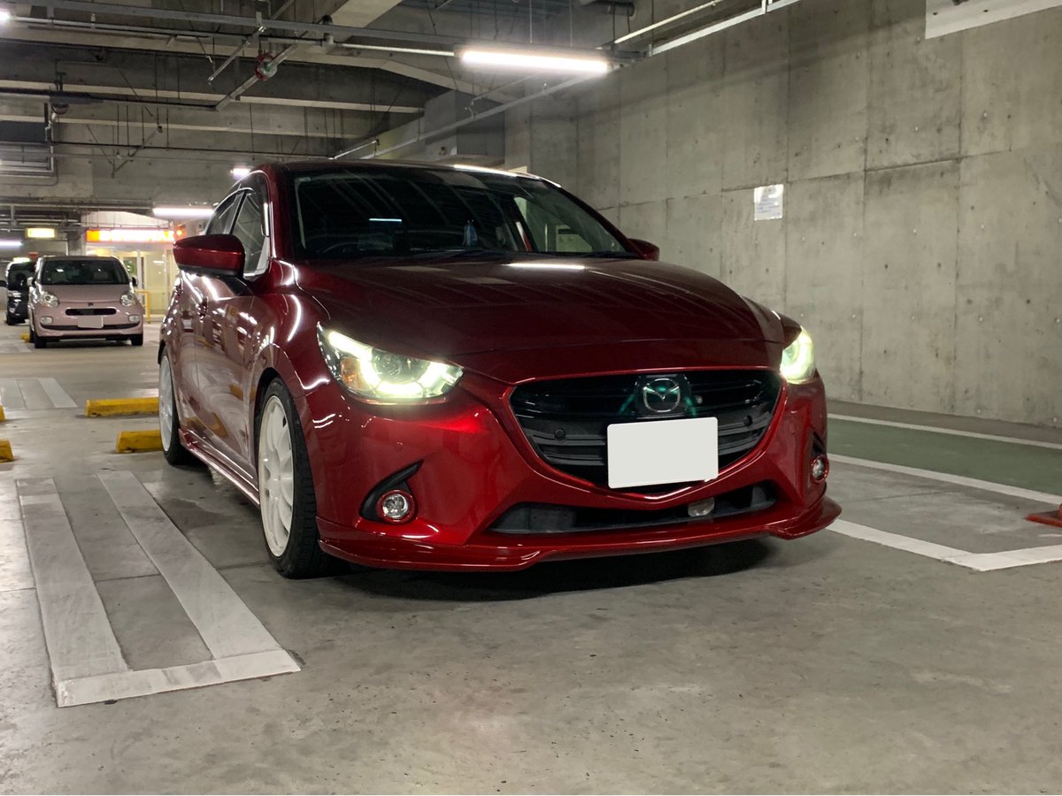 クマデミ tweet media