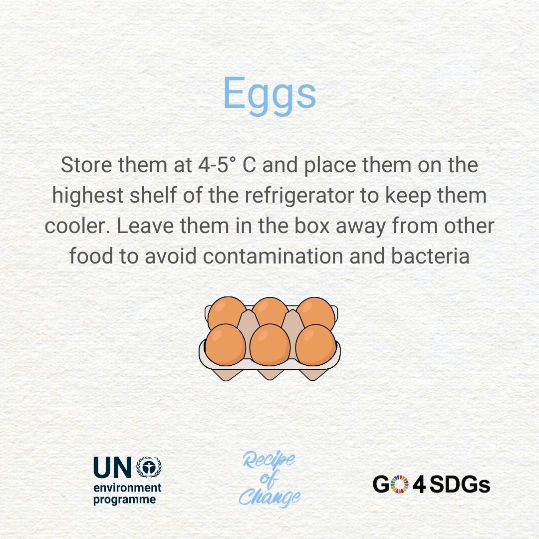 UNEP_WestAsia's tweet photo. Ending #foodwaste starts with each one of us.
Check out these tips to help you #StopFoodLossWaste starting today.
#FLWDay #RecipeofChange #GO4SDGS https://t.co/lvnlItNg2Y