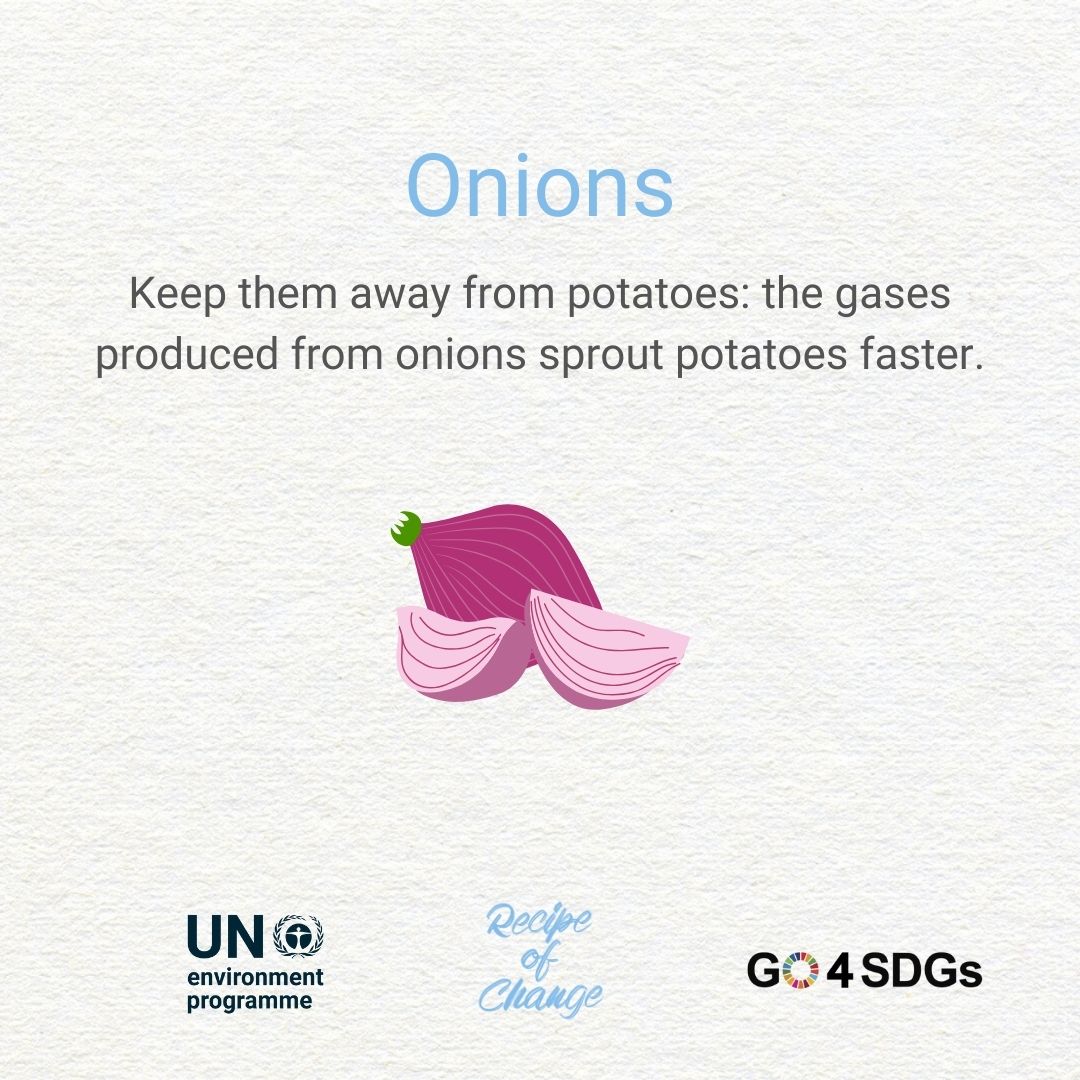 UNEP_WestAsia's tweet photo. Ending #foodwaste starts with each one of us.
Check out these tips to help you #StopFoodLossWaste starting today.
#FLWDay #RecipeofChange #GO4SDGS https://t.co/lvnlItNg2Y